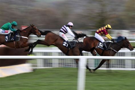 results cheltenham|Cheltenham Festival LIVE: Gold Cup feature race on day four.